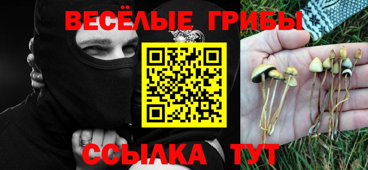 Псилоцибиновые грибы мицелий  Вход с VPN  Абакан 